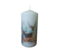 Mix and Match Winter Wildlife Decorative Pillar Candles Unscented Rustic Candle with Beautiful Animal Prints Nature Lovers Farmhouse Homes Cozy Moments Fireplace (Deers)