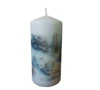 Mix and Match Winter Wildlife Decorative Pillar Candles Unscented Rustic Candle with Beautiful Animal Prints Nature Lovers Farmhouse Homes Cozy Moments Fireplace (Artic Fox)
