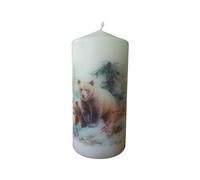 Mix and Match Winter Wildlife Decorative Pillar Candles Unscented Rustic Candle with Beautiful Animal Prints Nature Lovers Farmhouse Homes Cozy Moments Fireplace (Bears)