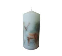 Mix and Match Winter Wildlife Decorative Pillar Candles Unscented Rustic Candle with Beautiful Animal Prints Nature Lovers Farmhouse Homes Cozy Moments Fireplace (Deer)