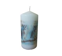 Mix and Match Winter Wildlife Decorative Pillar Candles Unscented Rustic Candle with Beautiful Animal Prints Nature Lovers Farmhouse Homes Cozy Moments Fireplace (Owls)