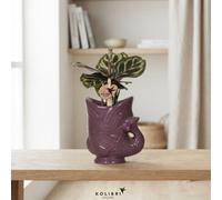 Mixed Calathea Houseplant - 6Cm Ceramic Pot