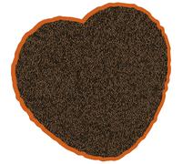 Mixed fish feed for carp Duvoplus Koï