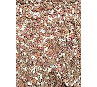 Mixed Nuts 1kg - Deluxe Mix of Raw Nut Cashews Almonds Walnuts Peanuts - Assorted Selection of Fresh Whole Natural Plain Unsalted Healthy Protein Bulk Bag Premium Snacking Gift Cooking Baking Eating