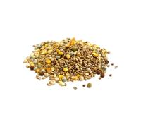 Mixed Pigeon Corn 1.5kg Premium Quality Bird Food XLJ