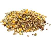 Mixed Pigeon Corn 1.5kg Premium Quality Bird Food XLJ