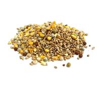 Mixed Pigeon Corn 5kg Premium Quality Bird Food