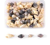 Mixed Tiny Sea Shells for Crafts - Natural Shell Beads Bundle (125pcs, 10 Styles) - Small Seahorse Shells DIY Kit for Jewelry Making, Fish Tank Decor & Home Decor(8~19mm)