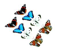 MIXEL Colorful Butterflies Clips For Decoration, Reusable, Lightweight, Easy To Fix, Adorable Design, Exquisite Structure, Theme Party, Indoor Outdoor Garden Use, Beautiful Art (8 PCS)