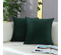 mixeoo Comfy Dark Green Throw Pillow Covers Christmas Decorative Square Solid Thick Velvet Super Soft Couch Cushion Cases for Home Living Room Sofa Decor, Set of 2, 16 x 16 Inch