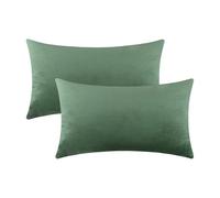 mixeoo Comfy Sage Green Throw Pillow Covers Decorative Lumbar Solid Rectangle Thick Velvet Super Soft Cushion Cases Home Decor for Sofa Couch Living Room Chair, Set of 2, 12 x 20 Inch