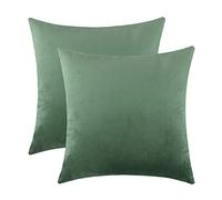mixeoo Comfy Sage Green Throw Pillow Covers Decorative Square Solid Thick Velvet Super Soft Couch Cushion Cases for Bedroom Sofa Decor, Set of 2, 16 x 16 Inch