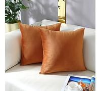 mixeoo Comfy Terracotta Throw Pillow Covers Decorative Square Solid Velvet Super Soft Cushion Cases Home Decor for Sofa Couch Living Room, Set of 2, 16 x 16 Inch