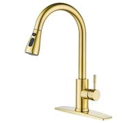 Mixer Taps Gold 304 Stainless Steel Vegetable Basin Pull-Out Faucet Kitchen Rotatable Retractable Faucet