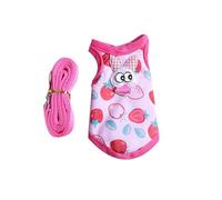 MIXIUJIEN 5pcs Pet Vest Harness with Leash, Warm Guinea Pig Clothes for Chinchilla Bunny Hamster Ferret,Outfit for Walking & Outdoor(M Size,Strawberry)