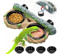 MIXJOY Magnetic Crested Gecko Feeding Ledge with 4PCS Feeding Cups, Reptile Feeder Ledge with Double Bowls Design, Hollow Vine Look, Reptile Food Water Dish for Bearded Dragon Lizard Chameleon Snake