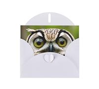 MIXMEY Owl Print Blank Greeting Cards, Love Buttons, Pearl Paper Envelopes Suitable For Various Occasions - Anniversary Cards, Thank You Cards, Holiday Cards, Wedding Cards, Congratulations, And More