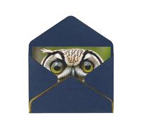 MIXMEY Owl Print Blank Greeting Cards, Pearl Paper Envelopes Suitable For Various Occasions - Anniversary Cards, Thank You Cards, Holiday Cards, Wedding Cards, Congratulations, And More