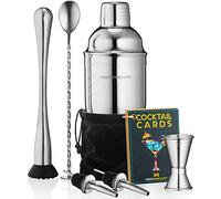 Mixology Cocktail Shaker Set Drink Mixer, 8-Piece Portable Bartender Kit with 24oz Martini Shaker Barware Tool Set, 2 Pourers, Muddler, Jigger, Mixing Spoon, Velvet Bag, Built-in Strainer (Silver)