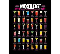 Mixology Framed Poster Pyramid International Multi One Size