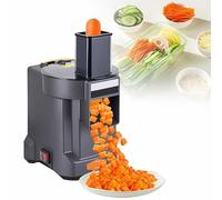 Mixtric 3 in 1 Electric Vegetable Dicer Slicer Shredder, Multifunctional Vegetable Chopper, Automatic Veggie & Fruit Cutter Machine for Commercial & Home Use, 220V