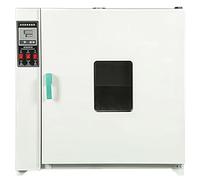 Mixtric Constant Temperature Blast Drying Oven, Lab Air Convection Drying Oven with Intelligent Digital Display Temperature Controller, Thermostatic Incubator Oven,Stainlesssteel,55 * 45cm/136L