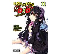 High School DxD, Vol. 11 (light novel): (HIGH SCHOOL DXD LIGHT NOVEL SC)