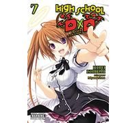 High School DxD, Vol. 7 (light novel): (HIGH SCHOOL DXD LIGHT NOVEL SC)