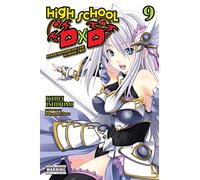 High School DxD, Vol. 9 (light novel): (HIGH SCHOOL DXD LIGHT NOVEL SC)