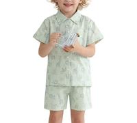 Miyanuby 100% Cotton Toddler Baby Boy Summer Outfit Clothing Set Short Sleeve Button Down T-Shirt Tops Pocket Shorts Two Piece Pants Set Green