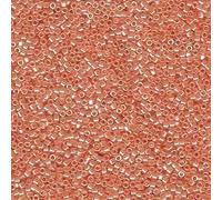 Miyuki Delica Seed Beads