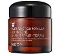 MIZON Multi Function Formula All In One Snail Repair Cream 75 ml