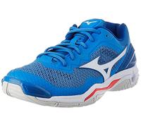Mizuno Unisex' Wave Stealth V Handball Shoe, Blue, 10