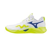 Mizuno Wave Momentum Pro Indoorshoes Men