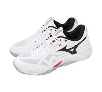 Mizuno Wave Momentum Pro White Black Men Volleyball Shoes V1GA2540-59