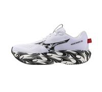 Running shoes Mizuno Wave Rider 30 Disclosure 42