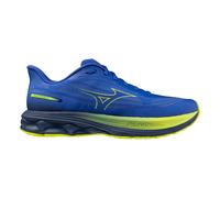 Mizuno Wave Skyrise 7 Running Shoes Blue EU 42 Man