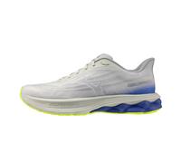 Mizuno Wave Skyrise 7 Running Shoes Grey EU 46 Men