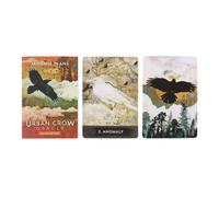 MJ Cullinane Urban Crow Oracle Cards MJ Cullinane Multicolor