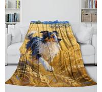 MJASVNDFO Border Collie Soft Fleece Blanket - Air Conditioner Blanket for Calming And Sleep - Cozy Blanket To Wrap With After A Tiring Day - Gift for Yourself 50x60inch(127x152cm)