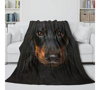 MJASVNDFO Dachshund Dog Warm Comfort Blanket - 3D Animal Air Conditioner Blanket Birthday Gift for Hubby Boyfriend Girlfriend Neighbor All Seasons - Sofa Bed Chair 60x80inch(150x200cm)