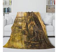 MJASVNDFO German Tiger II Tank Flannel Blanket - Military Cozy Blanket Christmas Birthday Gift for Sister Brother Nephew Niece Colleague - Sofa Bed Decor 40x50inch(100x130cm)