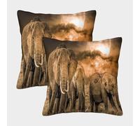 MJFCoin 3D Printed African Elephant Throw Pillow Covers Dinosaurs Square Cushion Cover Garden Cushion Super Soft Pack of 2 for Sofa Couch Bed 40x40cm