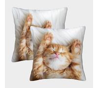 MJFCoin 3D Printed Ginger Cat Square Pillowcases Dinosaurs Square Throw Pillow Decorative Super Soft Pack of 2 for Patio,Couch, Tent, Balcony And Sofa 40x40cm