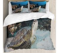 MJNLYDAO Bedding duvet set Reversible soft print set Hypoallergenic glue cover Bedding kit with 2 pillowcases,Green turtle on the house reef at Marsa Shagra in the Red Sea Egypt,228x264cm