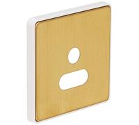 MK Dimensions 1 Gang 5A Round Pin Socket Satin Brass Finish Frontplate with a White Trim