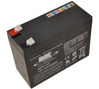 MK ES10-12 12V 10Ah Mk Sealed Lead Acid Agm Mobility Scooter Battery