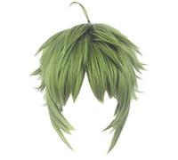 MKAISH Cosplay Wig for Mushoku Tensei Sylphiette