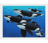 MKANLKX Orca Killer Whale Diamond Painting Kits Rhinestone Pictures Art Craft By Numbers For Home Decor & Gifts 40X50Cm