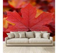 MKBKLI 3D Panoramic Custom Mural Wallpaper,Red Maple Leaf Plants 400 x 280 cm (WxH) Wall Poster Decoration with Photo Effect for Living Room Bedroom Children's Corridor